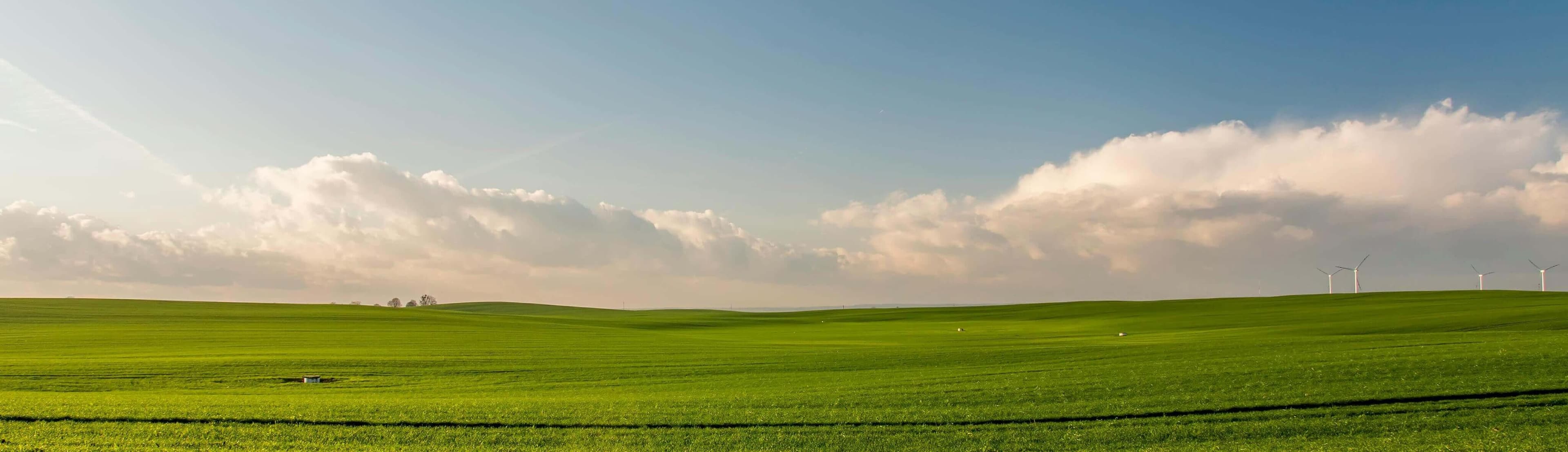 home field
